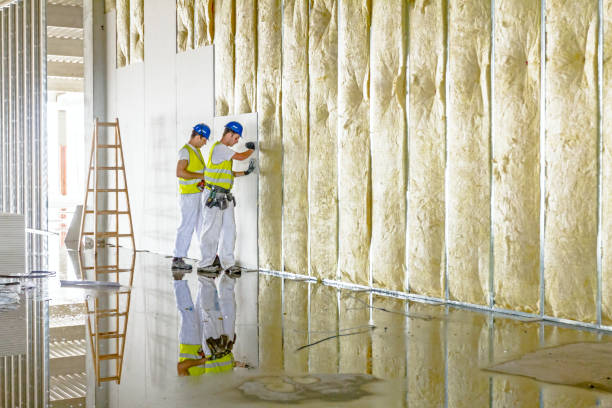 Best Insulation Maintenance and Repair in El Paso De Robles, CA